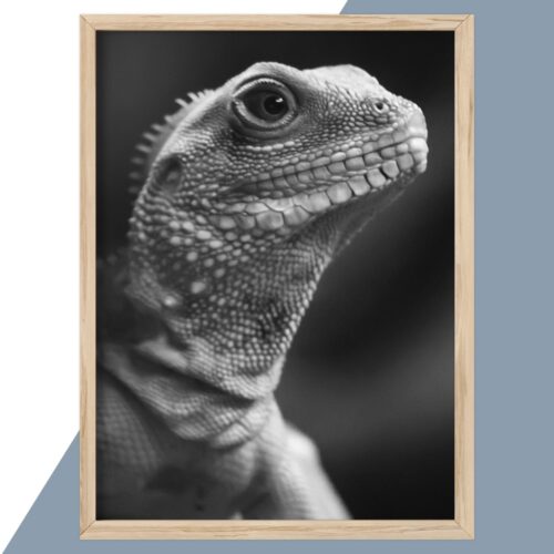 Plakat - personlige plakater - plakater - stort udvalg hos Hjemlux.dk