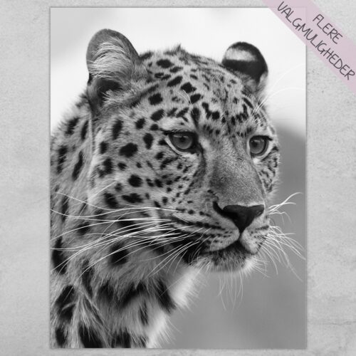 Plakat - personlige plakater - plakater - stort udvalg hos Hjemlux.dk