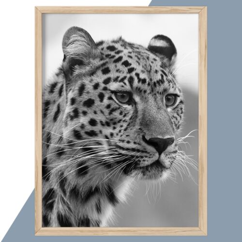 Plakat - personlige plakater - plakater - stort udvalg hos Hjemlux.dk