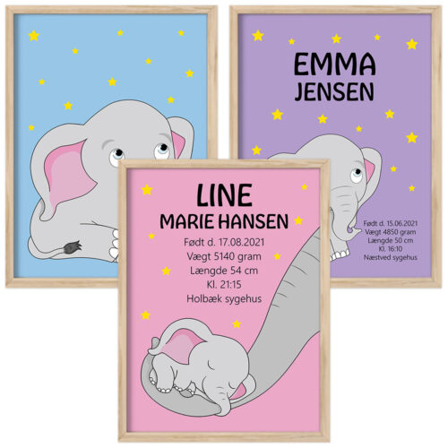 My Elephant plakater