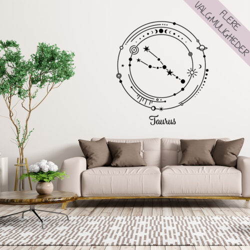 Stjernetegns wallstickers