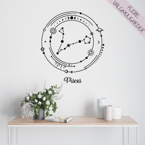 Stjernetegns wallstickers