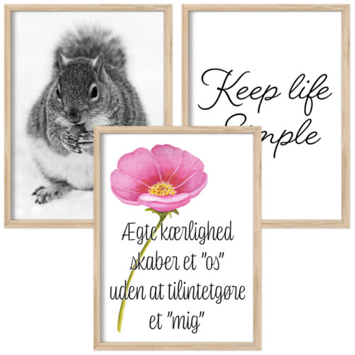 Plakater med tekst & motiv