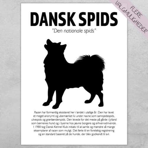 Plakat - personlige hunde plakater - stort udvalg hos Hjemlux.dk