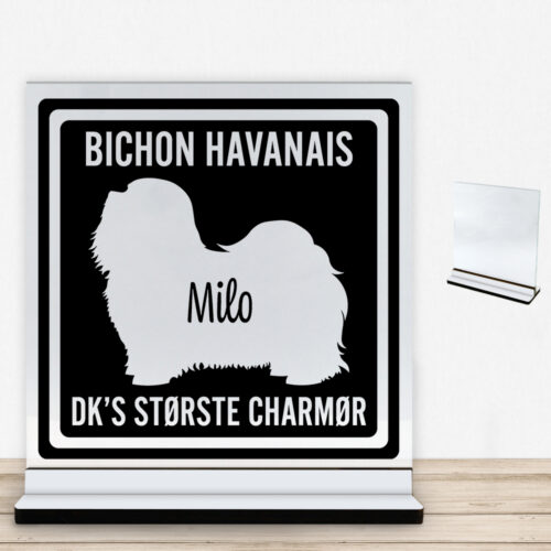MyPets Bichon Havanais | Glasskilt inkl. fod med farvet overflade