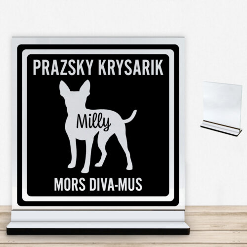 MyPets Prazsky Krysarik | Glasskilt inkl. fod med farvet overflade