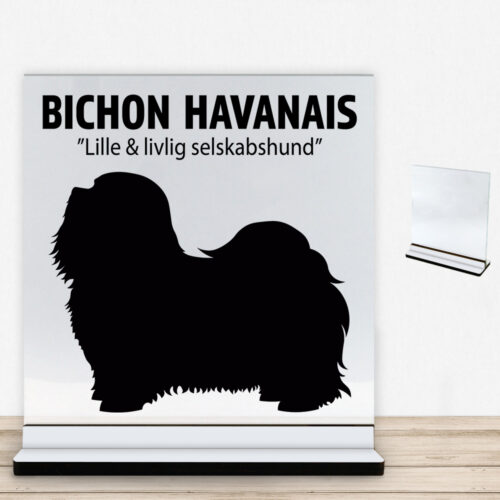 Simply Pets Bichon Havanais | Glasskilt inkl. fod med farvet overflade