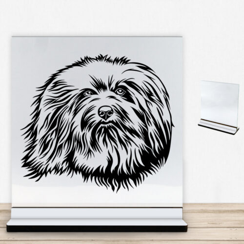 DogFace Havanese | Glasskilt inkl. fod med farvet overflade
