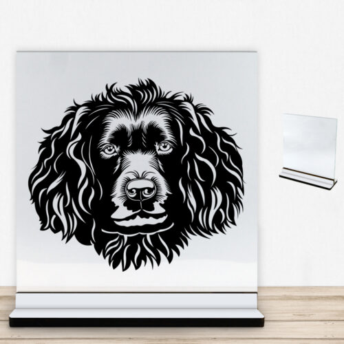 DogFace Boykin Spaniel | Glasskilt inkl. fod med farvet overflade