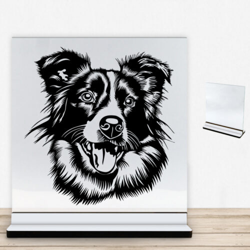 DogFace Border Collie | Glasskilt inkl. fod med farvet overflade