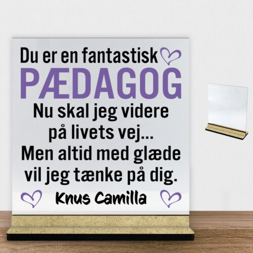Du er en fantastisk pædagog #1 | Glasskilt inkl. fod (træfiber)