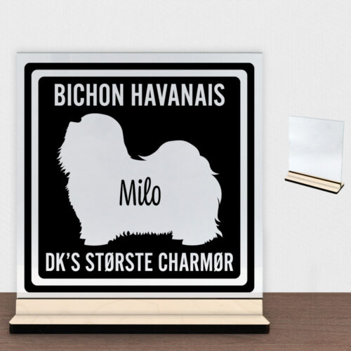 MyPets Bichon Havanais | Glasskilt inkl. fod (poppel krydsfinér)