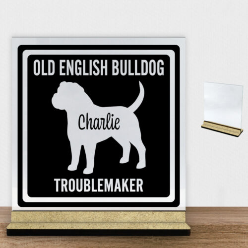 MyPets Old English Bulldog | Glasskilt inkl. fod (træfiber)