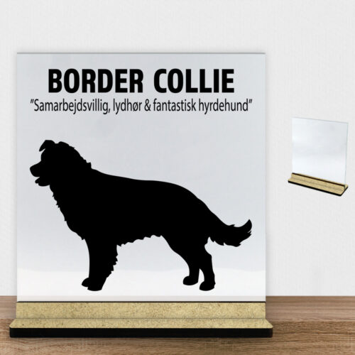 Simply Pets Border Collie | Glasskilt inkl. fod (træfiber)