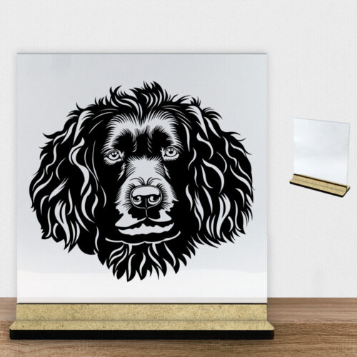 DogFace Boykin Spaniel | Glasskilt inkl. fod (træfiber)