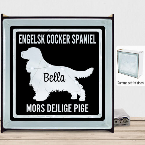 MyPets Engelsk Cocker Spaniel | Lyssten med ramme (farvet overflade)