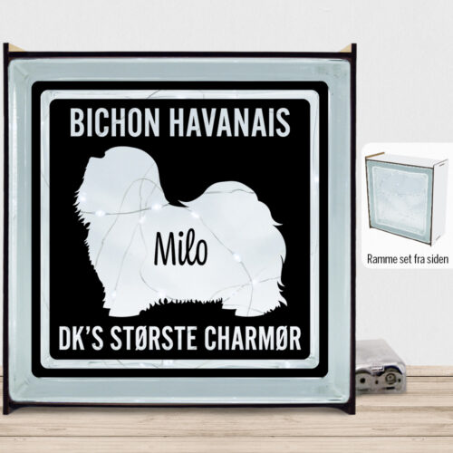 MyPets Bichon Havanais | Lyssten med ramme (farvet overflade)