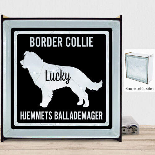 MyPets Border Collie | Lyssten med ramme (farvet overflade)