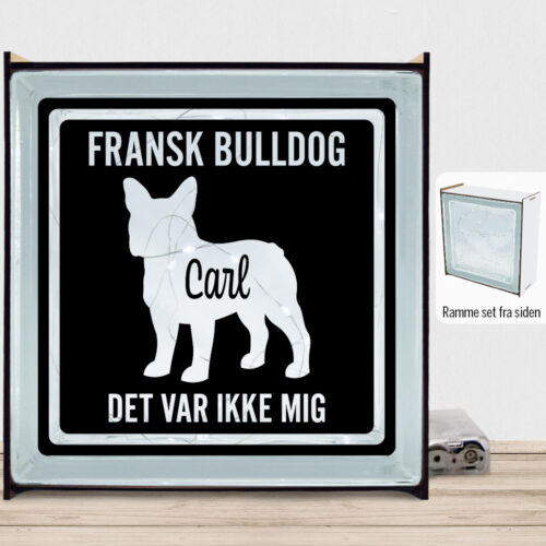 MyPets Fransk Bulldog | Lyssten med ramme (farvet overflade)