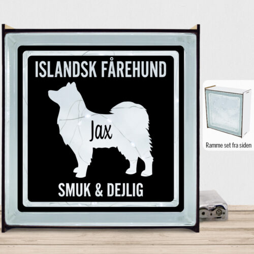 MyPets Islandsk Fårehund | Lyssten med ramme (farvet overflade)