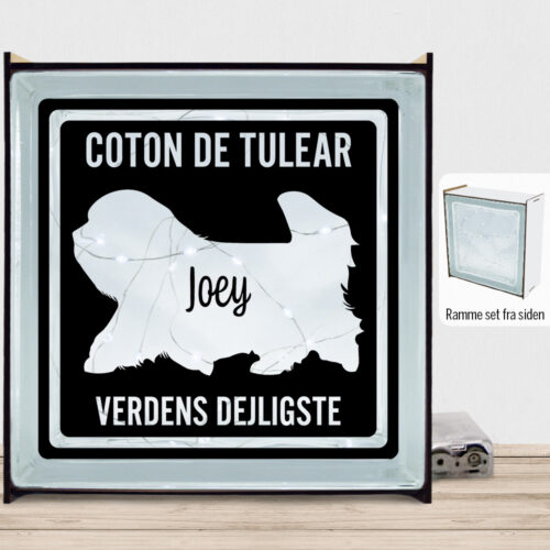 MyPets Coton de Tulear | Lyssten med ramme (farvet overflade)