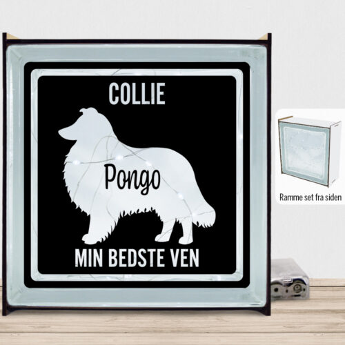 MyPets Collie | Lyssten med ramme (farvet overflade)