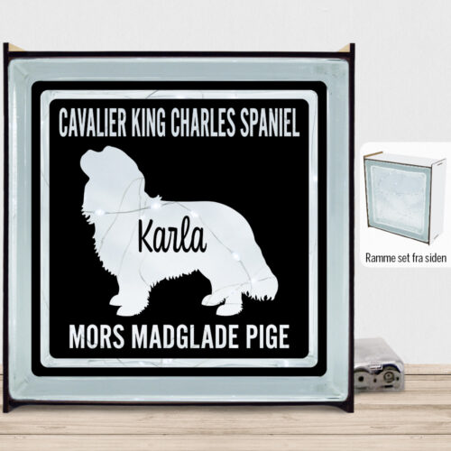 MyPets Cavalier King Charles Spaniel | Lyssten med ramme (farvet overflade)