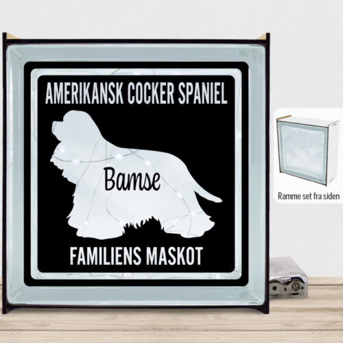 MyPets Amerikansk Cocker Spaniel | Lyssten med ramme (farvet overflade)