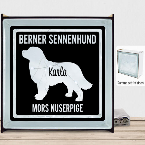 MyPets Berner Sennenhund | Lyssten med ramme (farvet overflade)