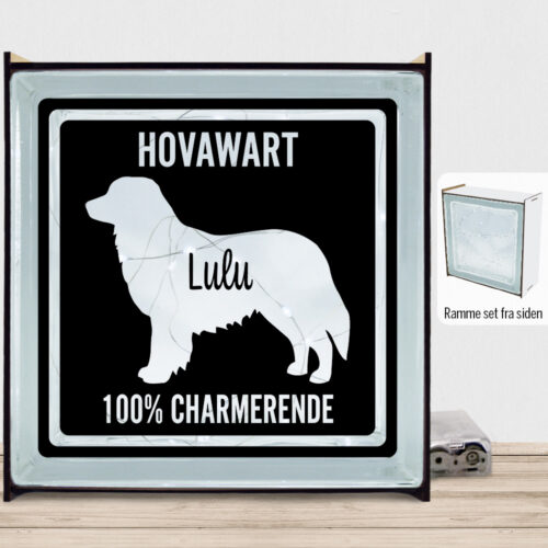 MyPets Hovawart | Lyssten med ramme (farvet overflade)