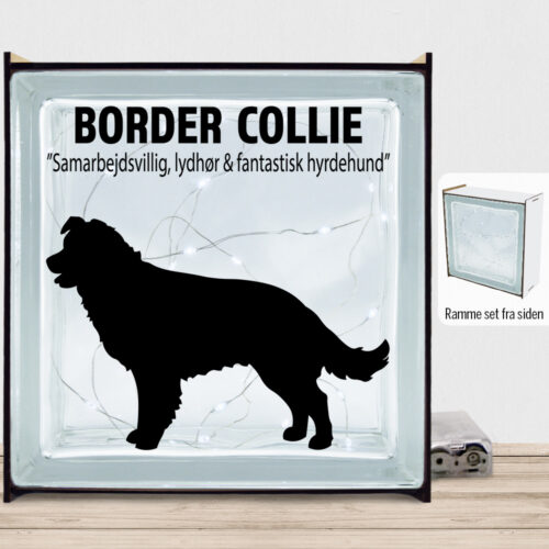 Simply Pets Border Collie | Lyssten med ramme (farvet overflade)