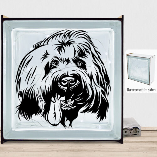 DogFace Briard | Lyssten med ramme (farvet overflade)