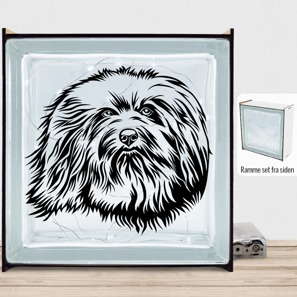 DogFace Havanese | Lyssten med ramme (farvet overflade)