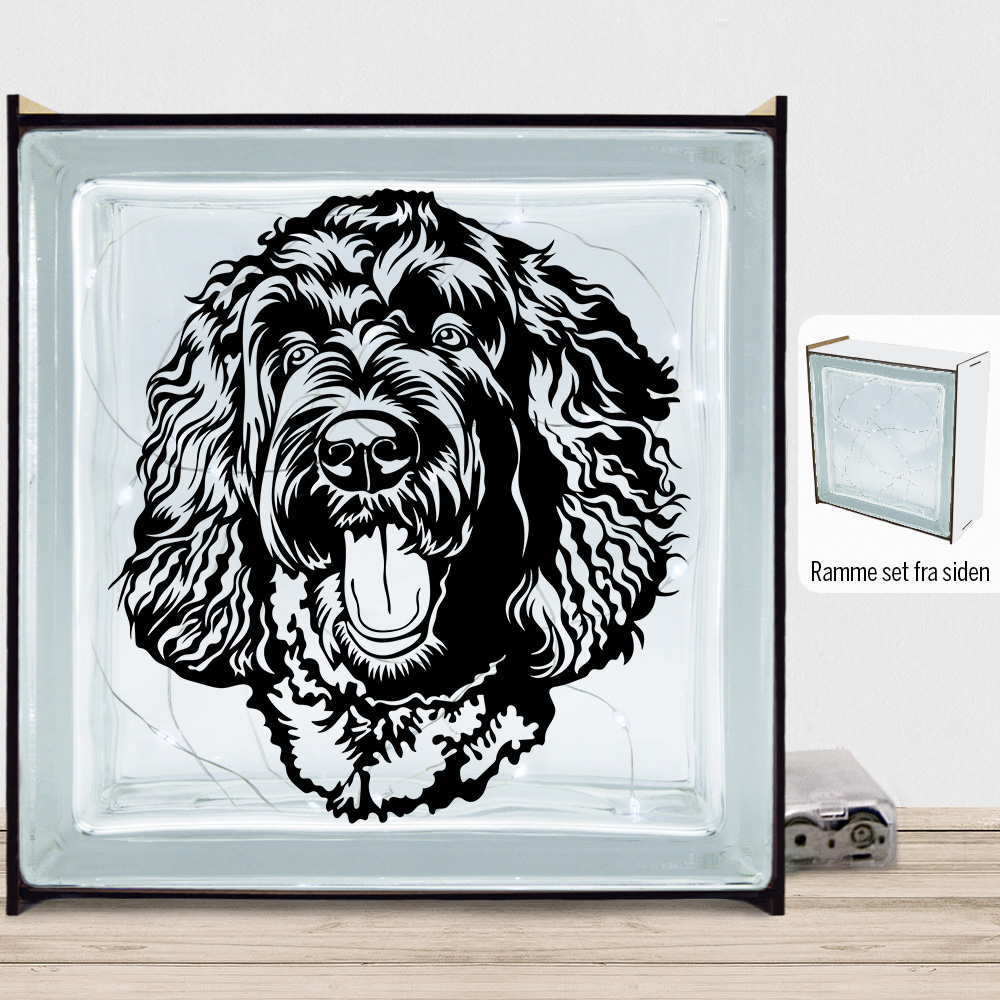 DogFace Labradoodle | Lyssten med ramme (farvet overflade)