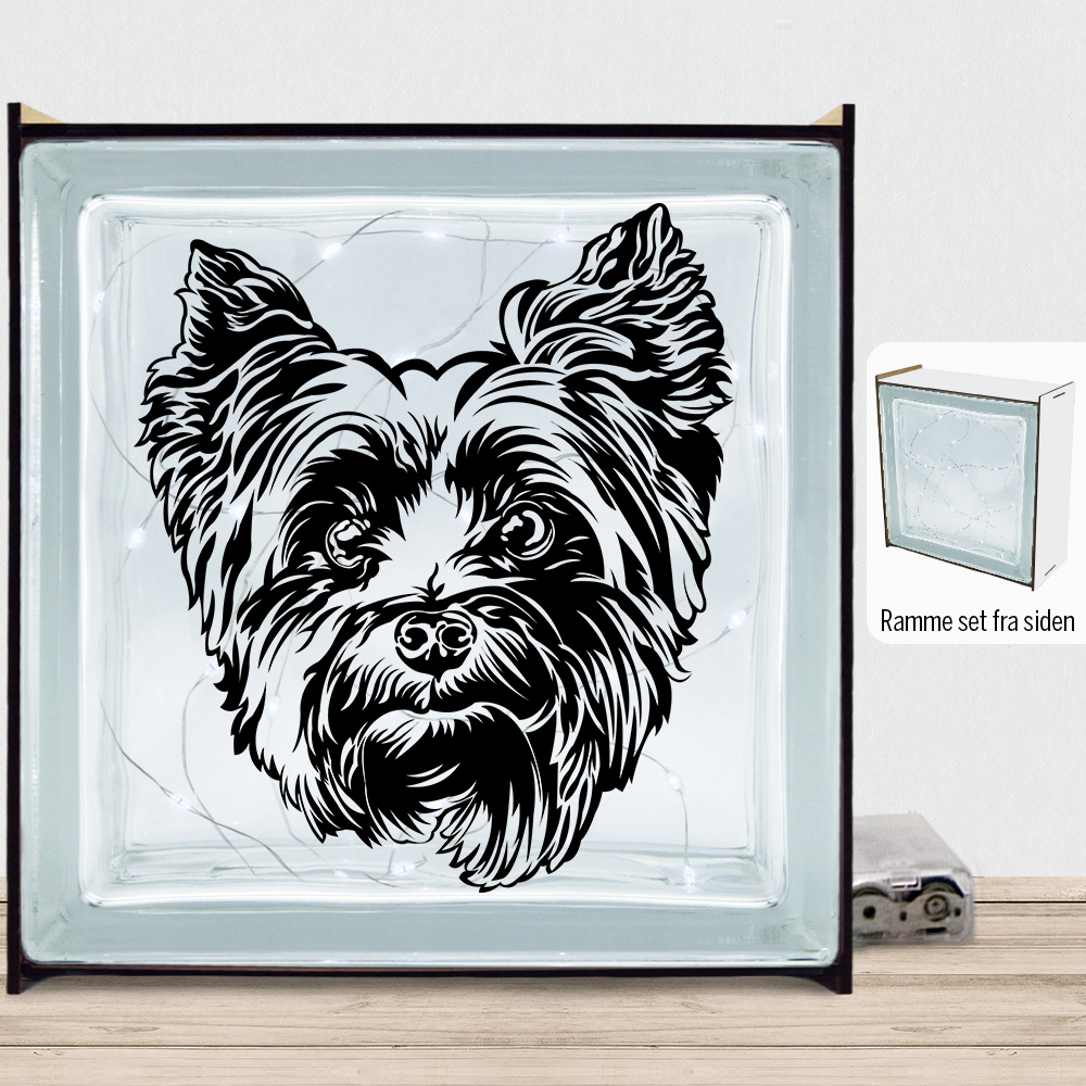 DogFace Yorkshire Terrier | Lyssten med ramme (farvet overflade)
