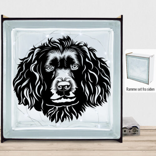 DogFace Boykin Spaniel | Lyssten med ramme (farvet overflade)