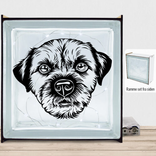 DogFace Border Terrier | Lyssten med ramme (farvet overflade)