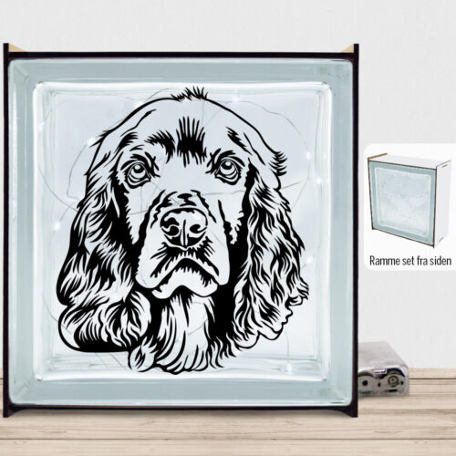 DogFace Cocker Spaniel | Lyssten med ramme (farvet overflade)