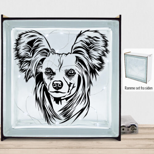 DogFace Chinese Crested | Lyssten med ramme (farvet overflade)