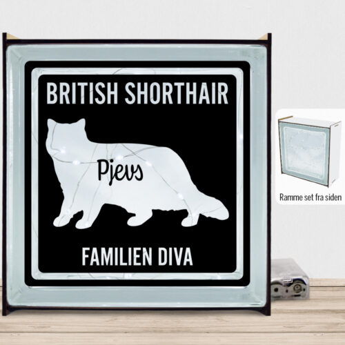 MyPets British Shorthair | Lyssten med ramme (farvet overflade)