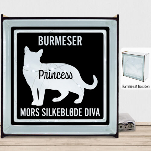 MyPets Burmeser | Lyssten med ramme (farvet overflade)