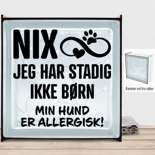 NIX jeg har stadig ikke børn - hund | Lyssten med ramme (farvet overflade)