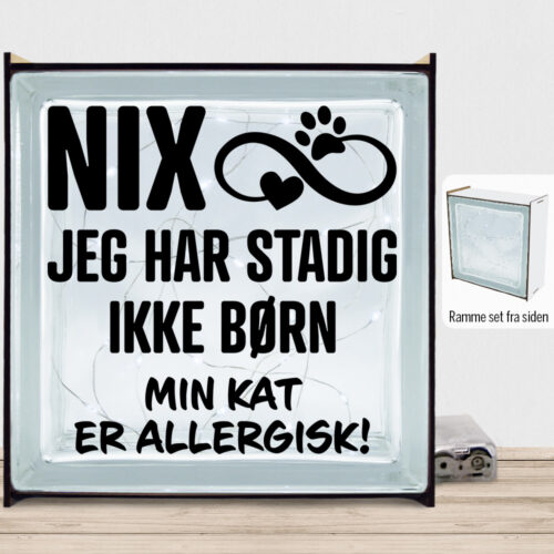 NIX jeg har stadig ikke børn - kat | Lyssten med ramme (farvet overflade)