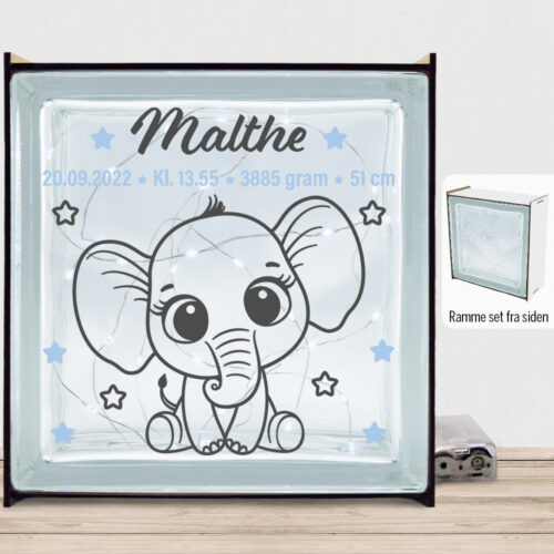 Baby elefant m. fødselsdata | Lyssten med ramme (farvet overflade)