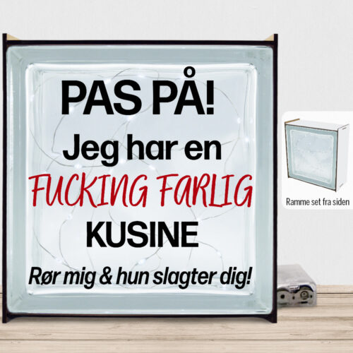 Pas på, jeg har en fucking farlig kusine | Lyssten med ramme (farvet overflade)