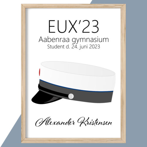 EUX design 1 - blå stribe | Plakat - Image 2