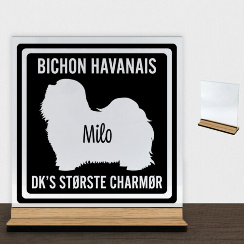 MyPets Bichon Havanais | Glasskilt inkl. fod (træfinér)