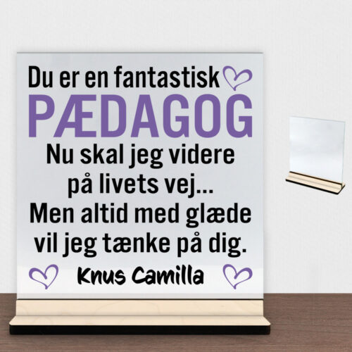 Du er en fantastisk pædagog #1 | Glasskilt inkl. fod (poppel krydsfinér)