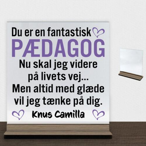 Du er en fantastisk pædagog #1 | Glasskilt inkl. fod (træfinér)