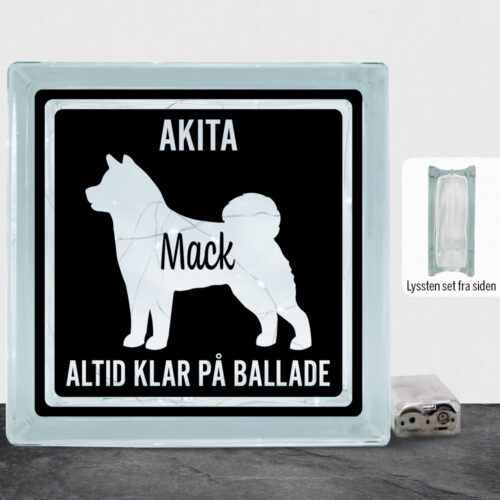 MyPets Akita | Lyssten